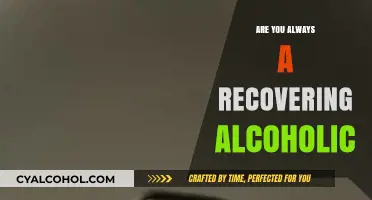 Recovering Alcoholic Identity: A Lifelong Journey or Temporary Label?