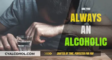 Are You Always an Alcoholic? Understanding the Spectrum of Alcohol Use