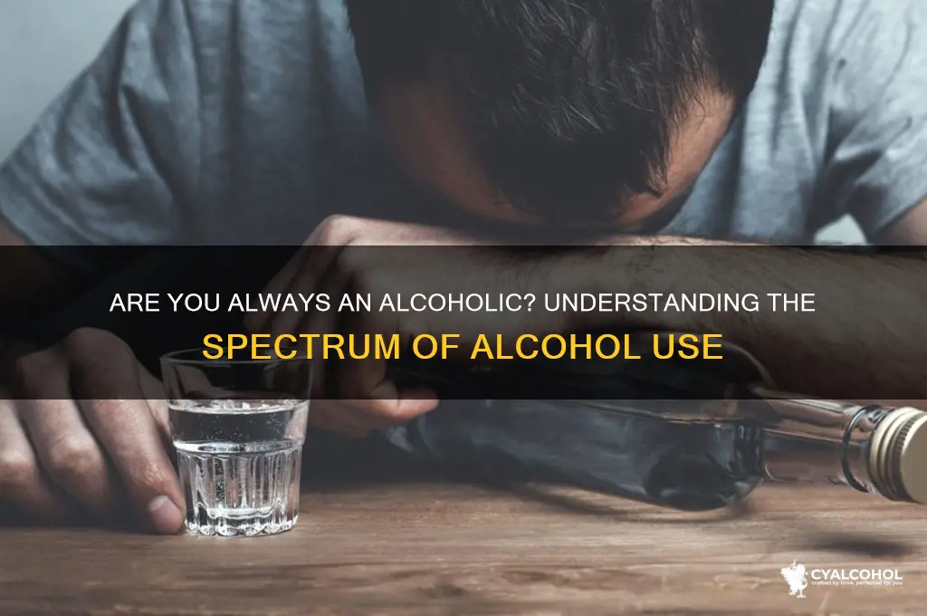 are you always an alcoholic