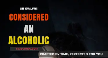 Are You Always an Alcoholic? Understanding the Spectrum of Drinking Habits