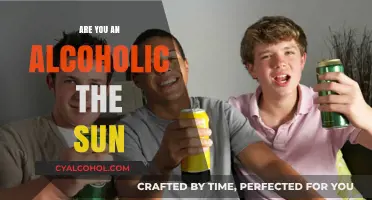 Are You an Alcoholic? Signs, Risks, and Seeking Help Under the Sun