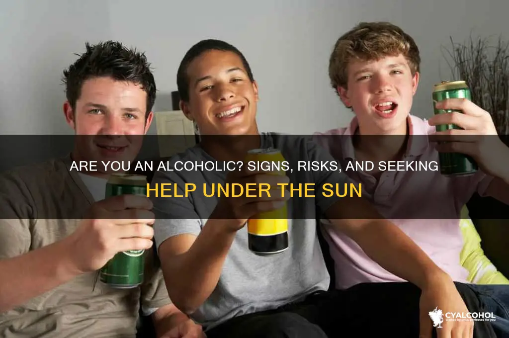 are you an alcoholic the sun