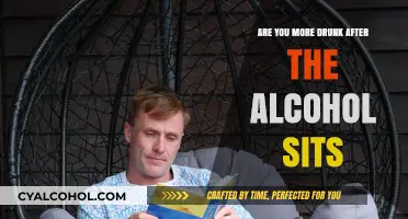 Does Alcohol Get You Drunker After Sitting? Debunking the Myth