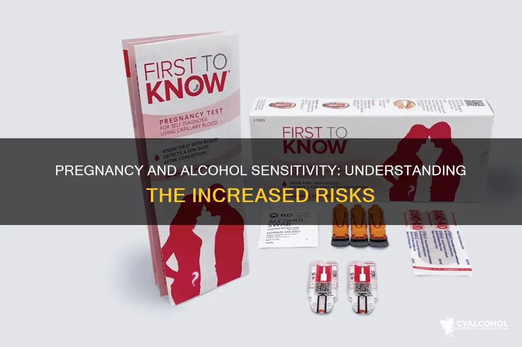 are you more sensitive to alcohol when pregnant
