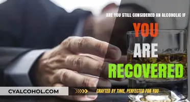 Alcoholism: Recovery and the Label of an Alcoholic