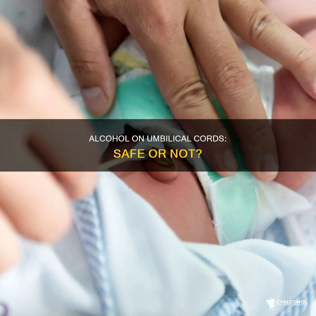 are you supposed to put alcohol on umbilical cord