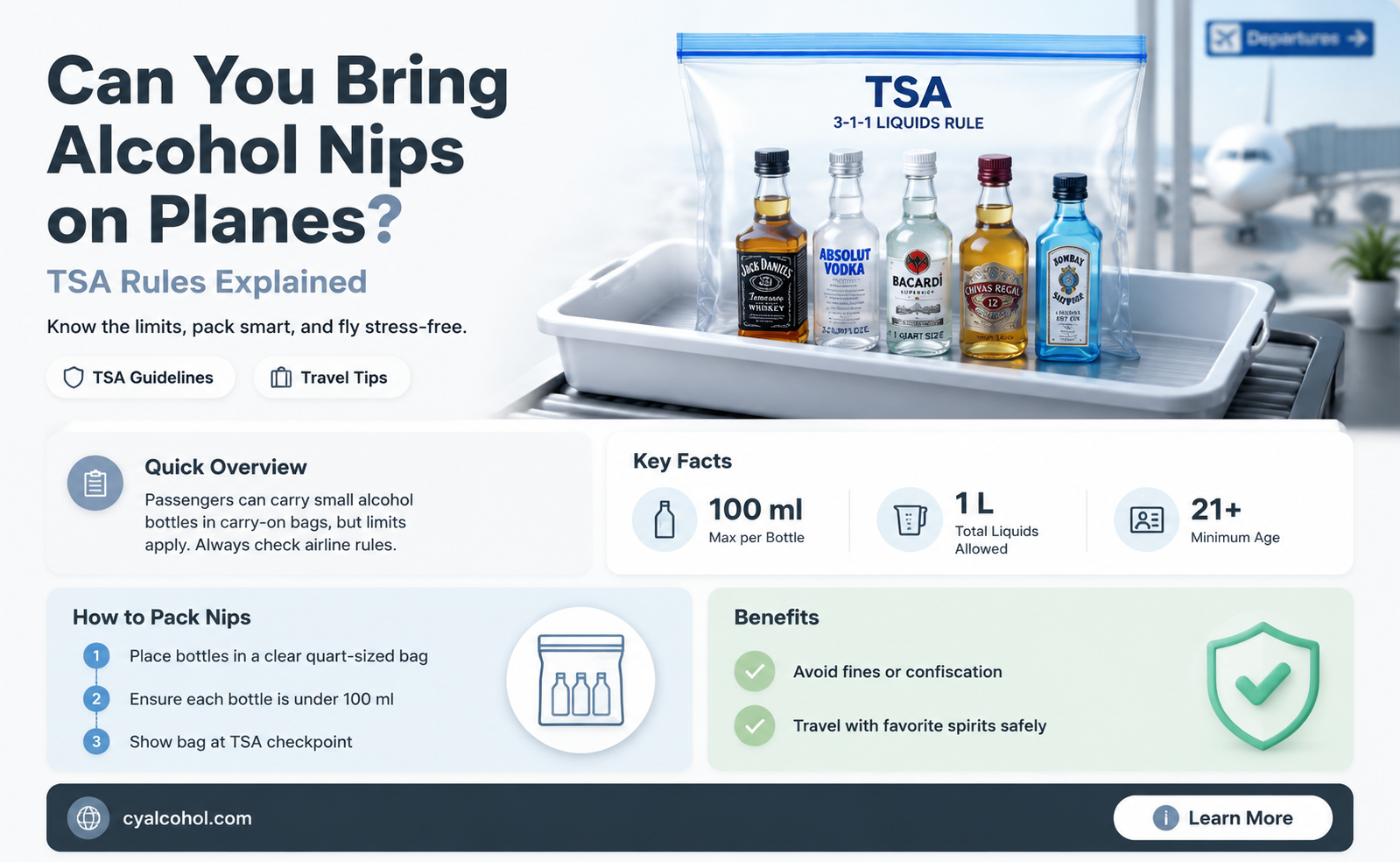 are alcohol nips allowed on planes