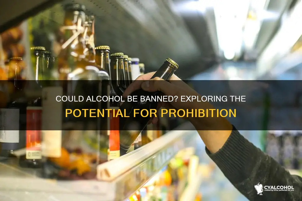 could alcohol become illegal