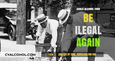Could Alcohol Be Banned Again? Exploring Prohibition's Possible Return