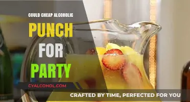 Budget-Friendly Party Punch: Crafting Affordable Alcoholic Drinks for Your Celebration