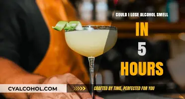 Quick Ways to Eliminate Alcohol Smell in Just 5 Hours