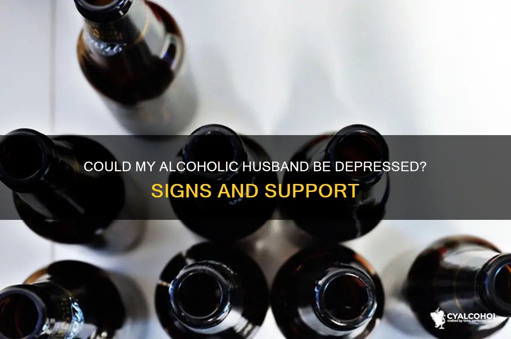 could my alcoholic husband be depressed