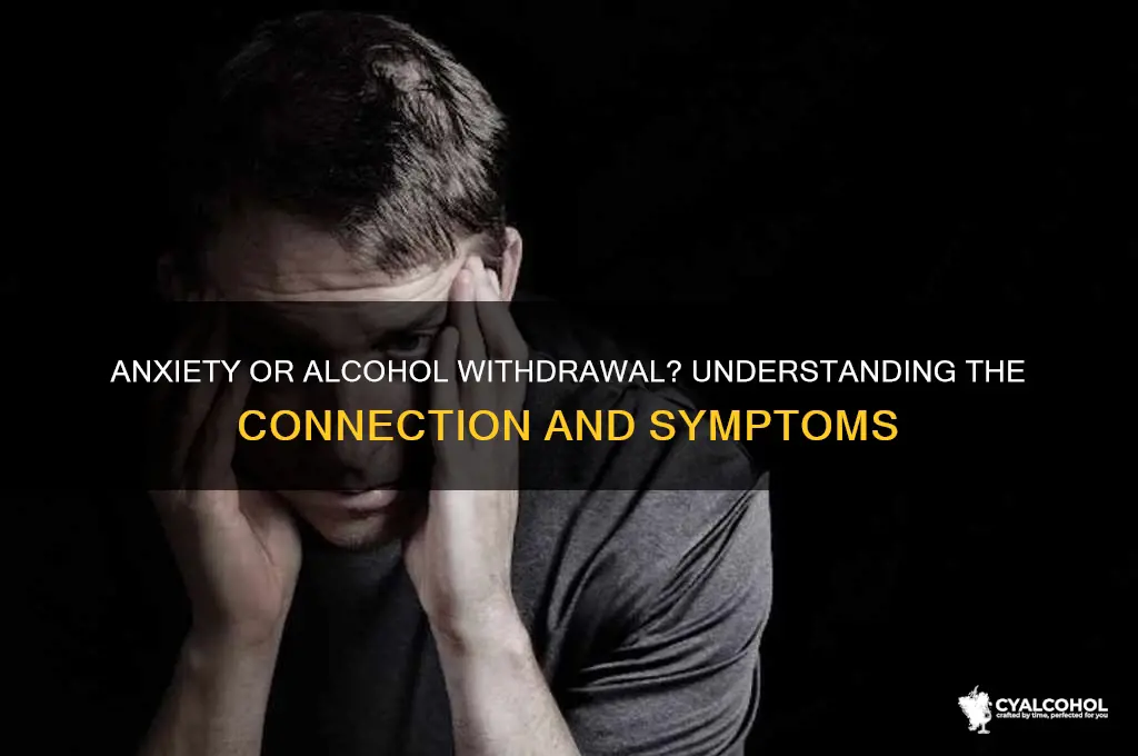 could my anxiety be alcohol withdrawal