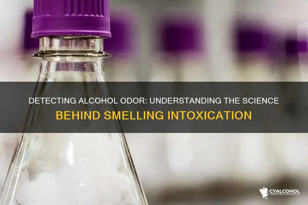 could smell alcohol