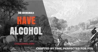 Exploring the Historical Relationship Between Aboriginals and Alcohol Consumption