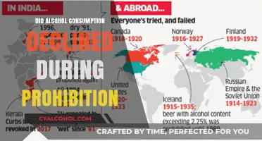 Prohibition's Paradox: Did Alcohol Consumption Actually Decline in the 1920s?