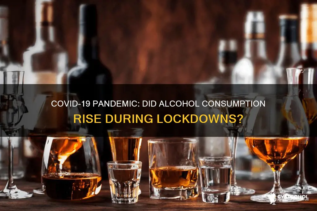 did alcohol consumption increase during covid