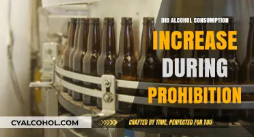 Prohibition's Paradox: Did Alcohol Consumption Rise Despite the Ban?