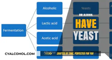 Does Alcohol Contain Yeast? Unveiling the Fermentation Process and Ingredients