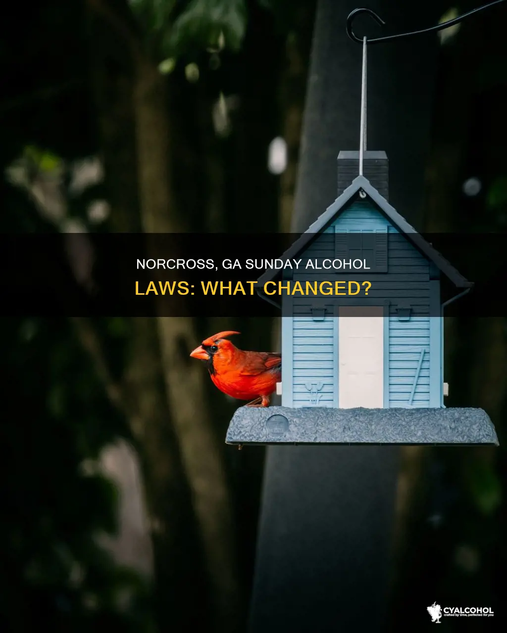 did alcohol laws in norcross ga change on sundays
