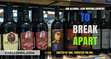 Alcohol's Role in the Collapse of the Soviet Union: A Deep Dive