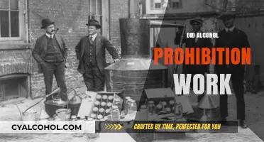 Did Alcohol Prohibition Succeed or Fail? A Historical Analysis