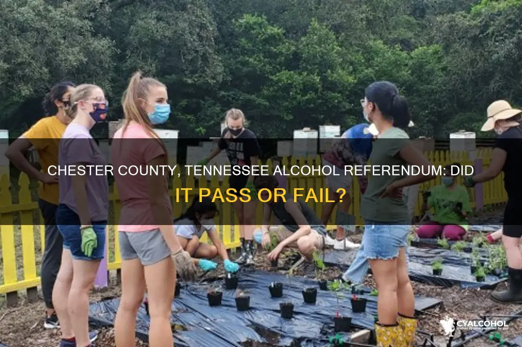 did alcohol referendem pass in chester co tennessee