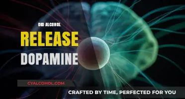 Does Alcohol Trigger Dopamine Release? Unraveling the Brain's Reward Connection