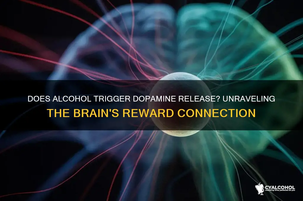 did alcohol release dopamine