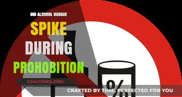 Prohibition's Paradox: Did Alcohol Consumption Actually Spike During the Ban?