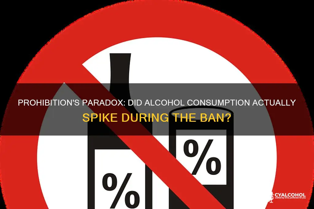 did alcohol usuage spike during prohobition