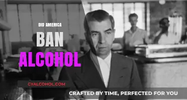 America's Prohibition Era: The Rise and Fall of the Alcohol Ban