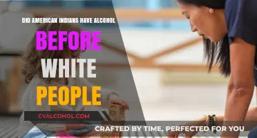 Pre-Colonial Spirits: Did Native Americans Brew Alcohol Before European Contact?