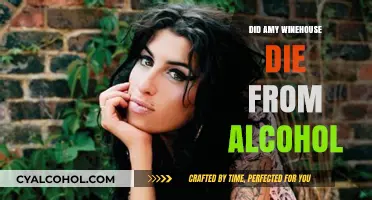Amy Winehouse's Tragic Death: Alcohol's Role in Her Untimely Passing
