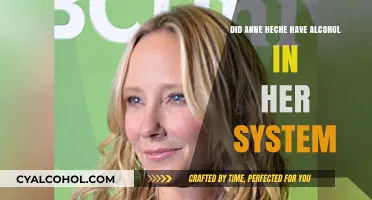 Anne Heche's Tragic Crash: Alcohol Involvement Uncovered in Investigation