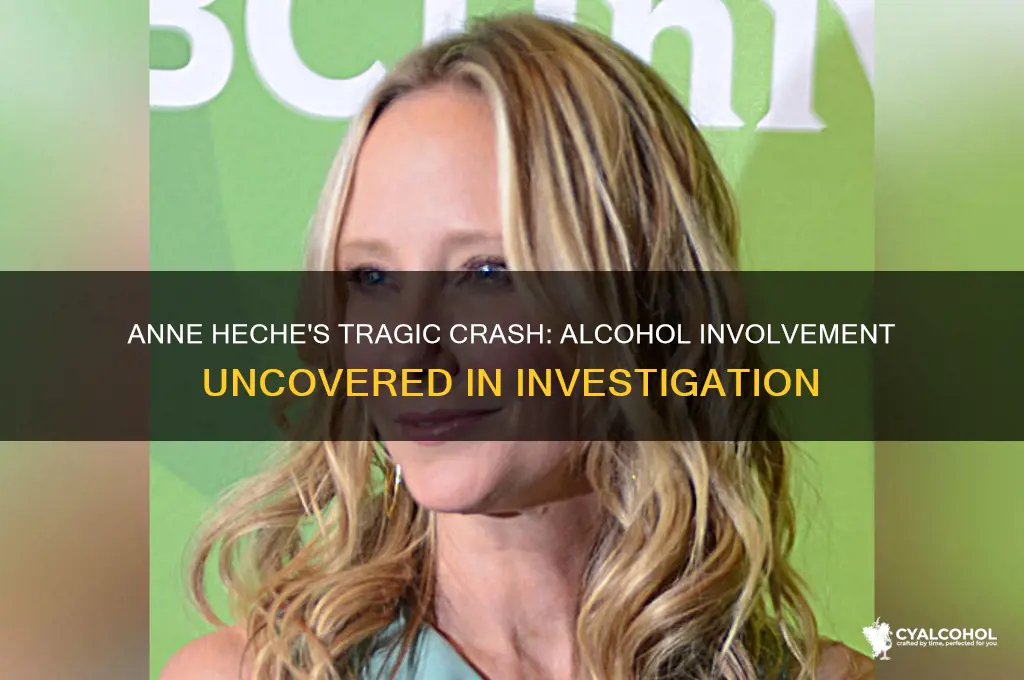 did anne heche have alcohol in her system