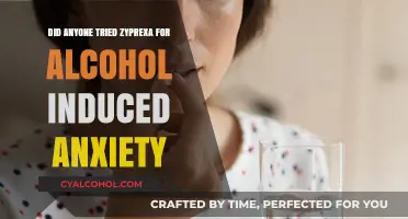 Zyprexa for Alcohol-Induced Anxiety: Real Experiences and Insights