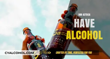 Aztec Alcohol: Exploring Ancient Brewing Traditions and Cultural Significance