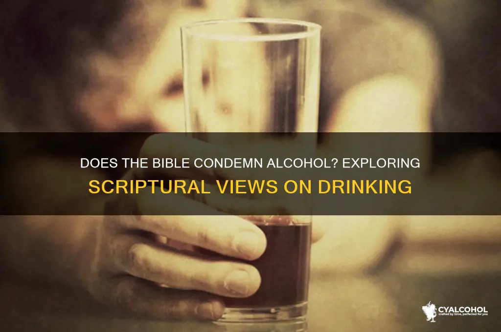 did bible condemn alcohol