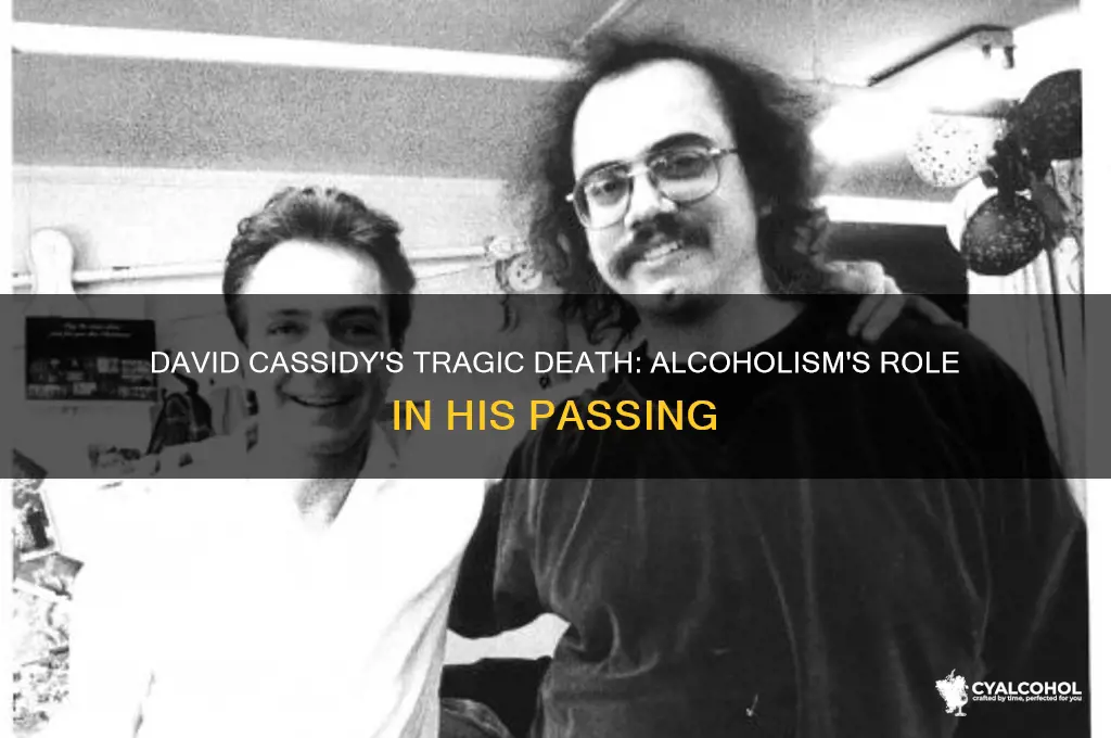 did david cassidy die from alcoholism