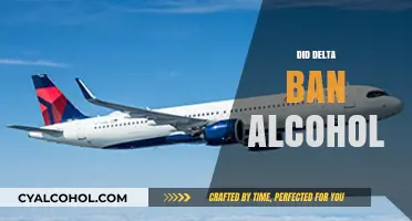 Delta's Alcohol Ban: What Travelers Need to Know Now