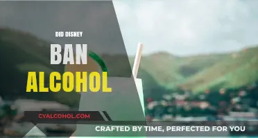 Disney's Alcohol Policy: Unraveling the Truth Behind the Ban