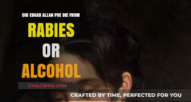Poe's Death: Alcohol or Rabies?