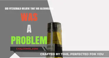 Fitzgerald's Alcoholism: A Self-Reflection