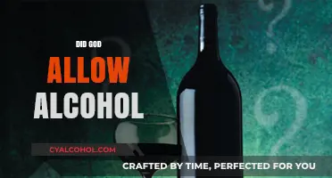 Did God Allow Alcohol? Exploring Biblical Insights on Drinking