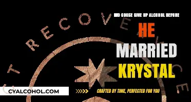 Goose's Sobriety: Before Marrying Krystal