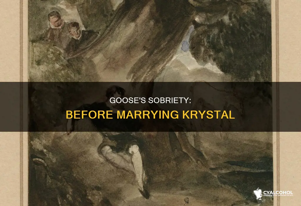 did goose give up alcohol before he married krystal
