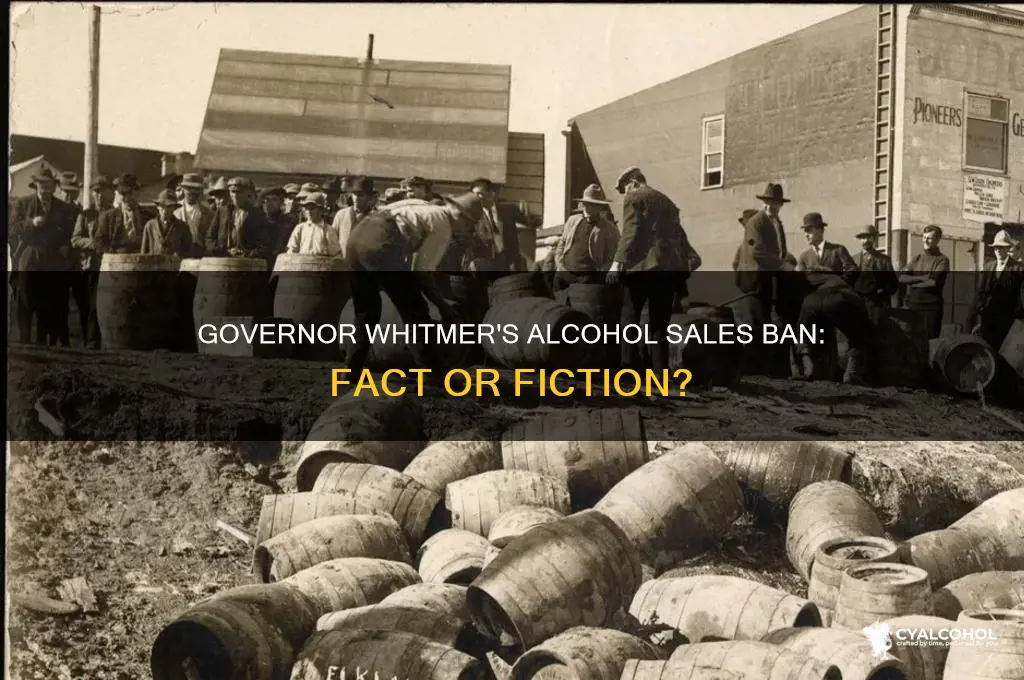 did governor whitmer ban alcohol sales