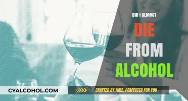 My Brush with Death: Surviving Alcohol’s Grip and Finding Hope