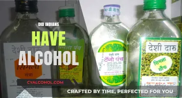Exploring Ancient India's Relationship with Alcohol: Myths and Realities
